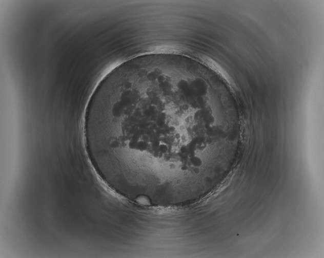 X0000116851087200912221114
