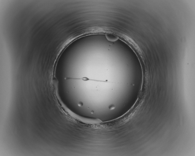 X0000116851089200912221114