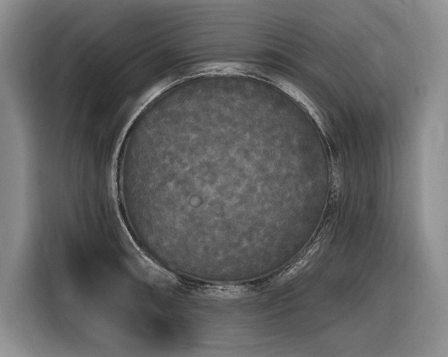 X0000116851090200912221114
