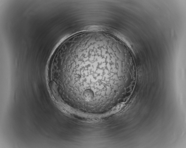 X0000116851091200912221114