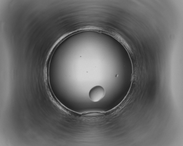 X0000116851092200912221114