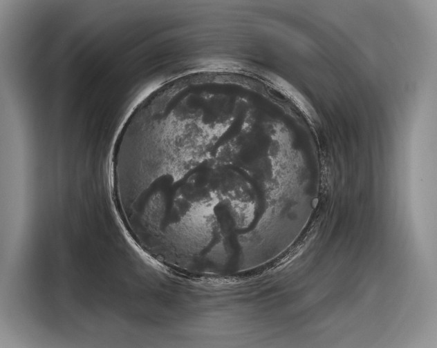 X0000116851095200912221114