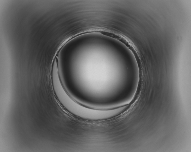 X0000116851097200912221114