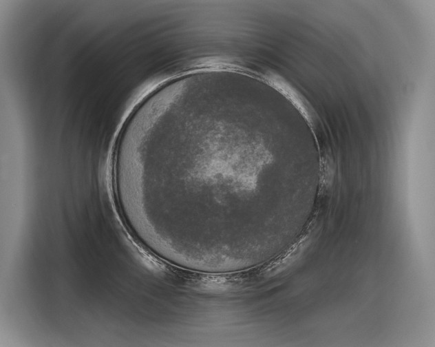 X0000116851098200912221114
