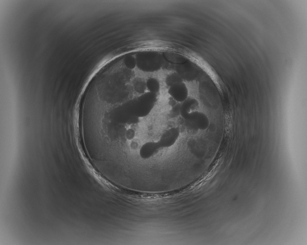 X0000116851099200912221114