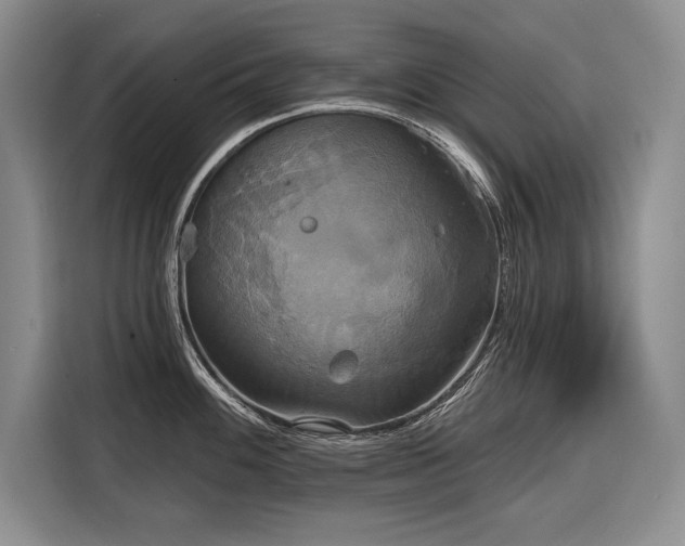 X0000116851100200912221114