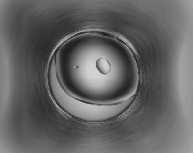 X0000116851101200912221114