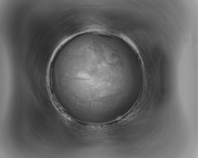 X0000116851104200912221114