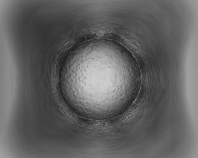 X0000116851105200912221113