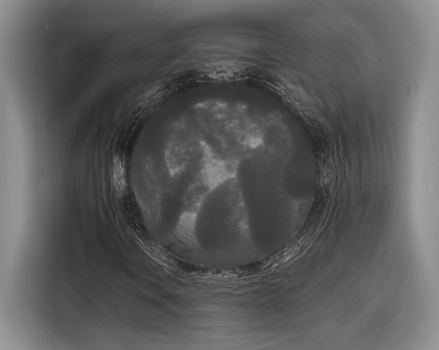 X0000116851106200912221113
