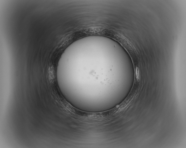 X0000116851107200912221113