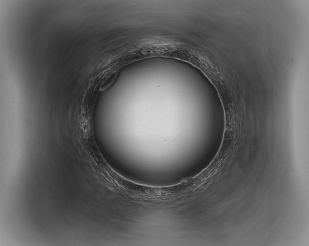 X0000116851109200912221113