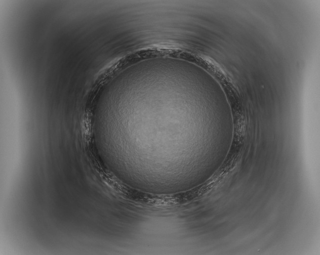 X0000116851110200912221113