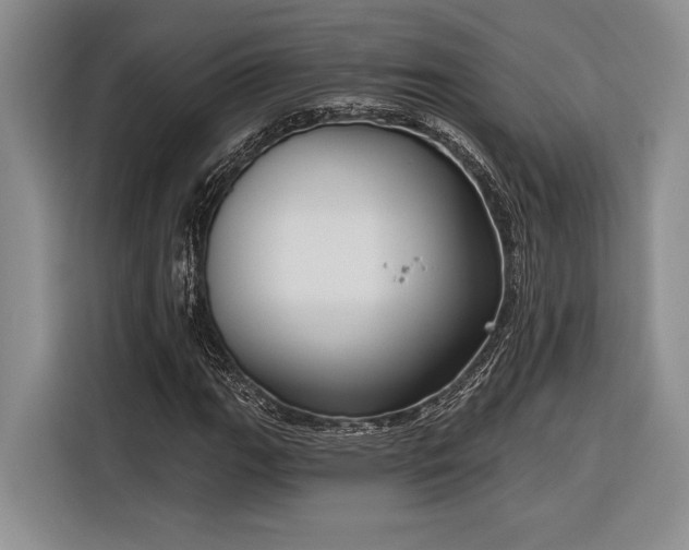 X0000116851111200912221113