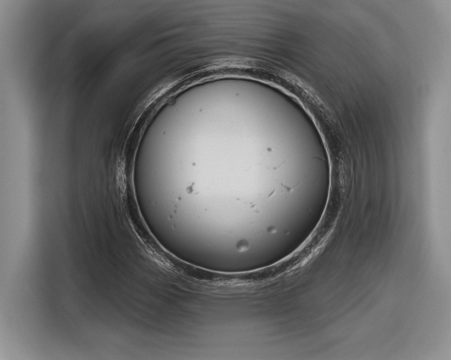 X0000116851113200912221113