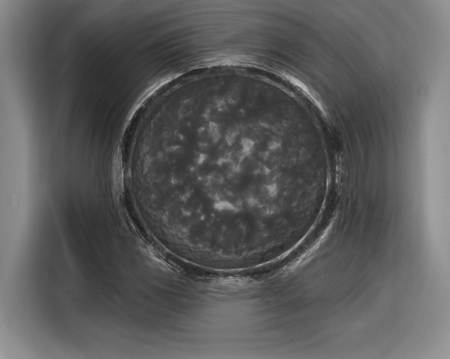 X0000116851117200912221113