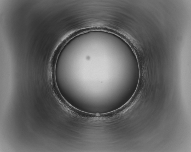 X0000116851118200912221113