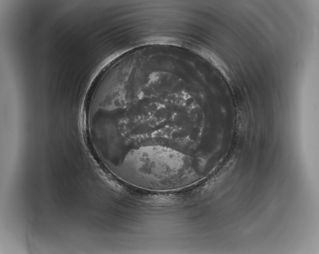 X0000116851125200912221113