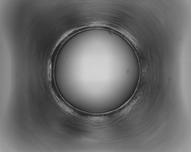 X0000116851126200912221113