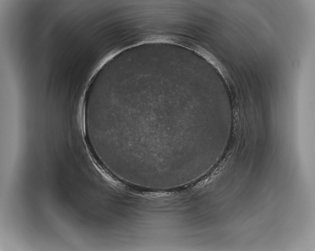 X0000116851127200912221113