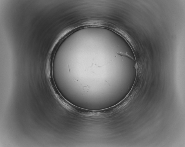 X0000116851131200912221113