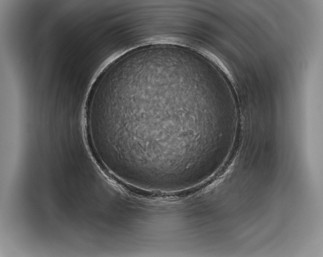 X0000116851133200912221113