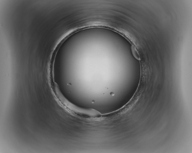 X0000116851134200912221113