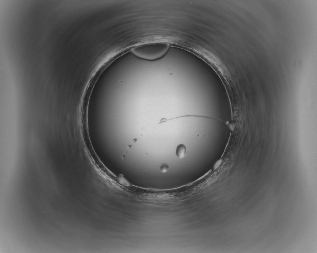 X0000116851135200912221113