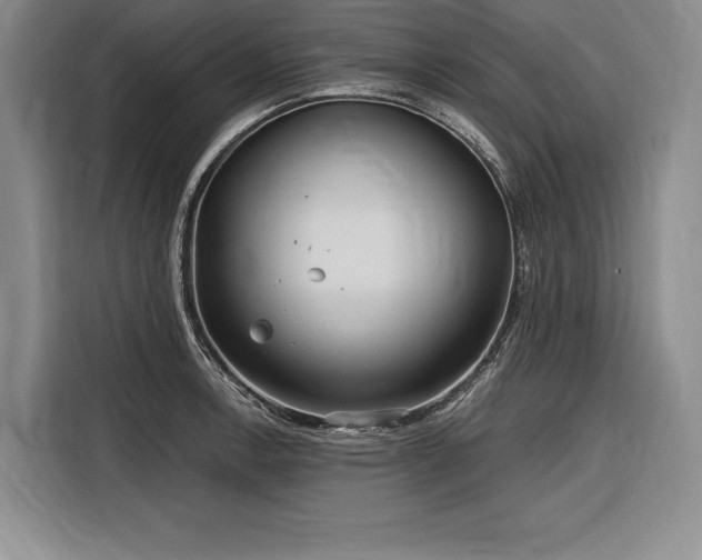 X0000116851138200912221113
