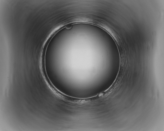 X0000116851139200912221113