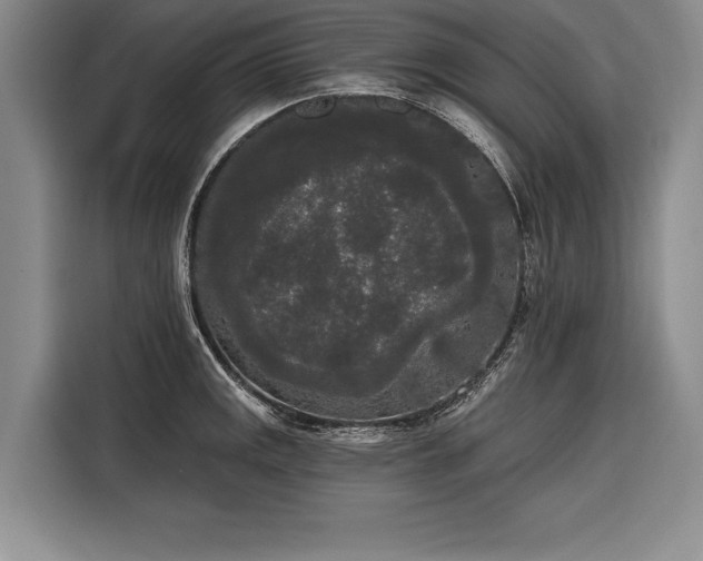 X0000116851141200912221114