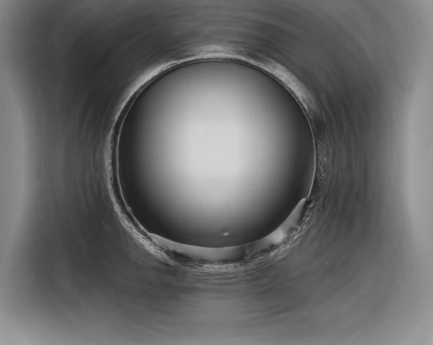 X0000116851142200912221114