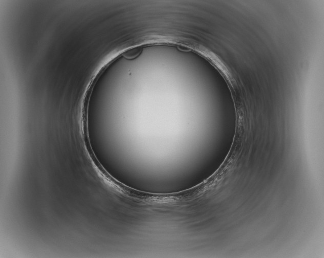 X0000116851143200912221114