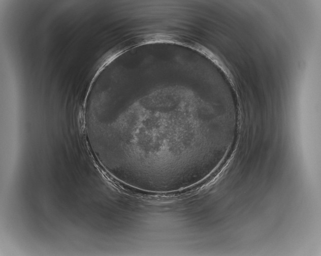 X0000116851145200912221114