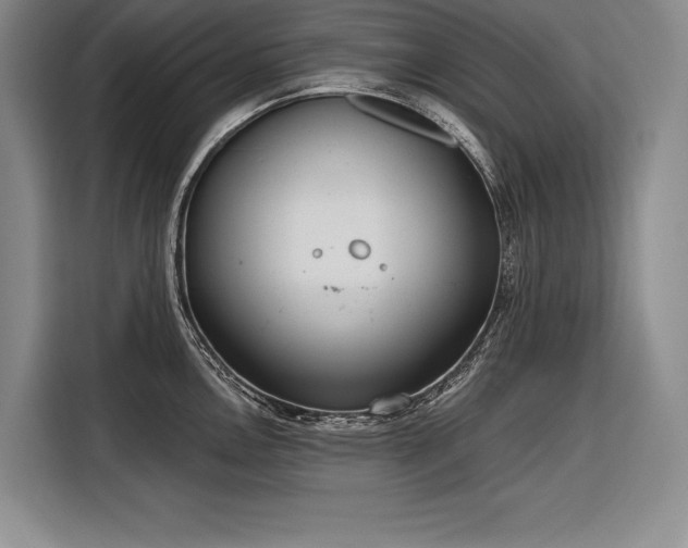 X0000116851146200912221114