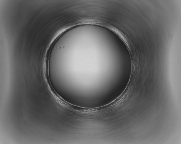 X0000116851147200912221114