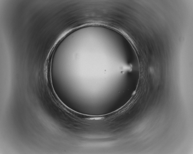 X0000116851151200912221114