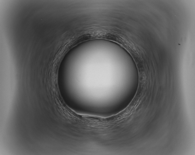 X0000116851153200912221113