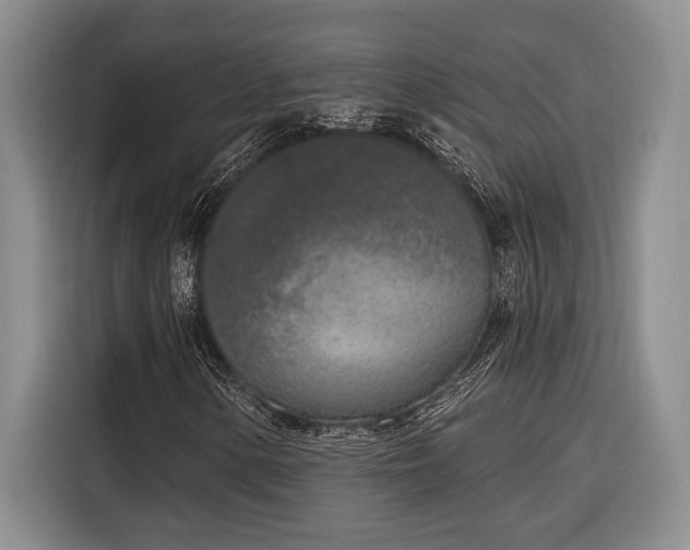 X0000116851154200912221113