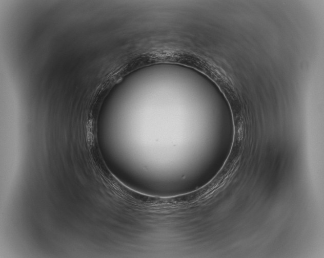 X0000116851156200912221113