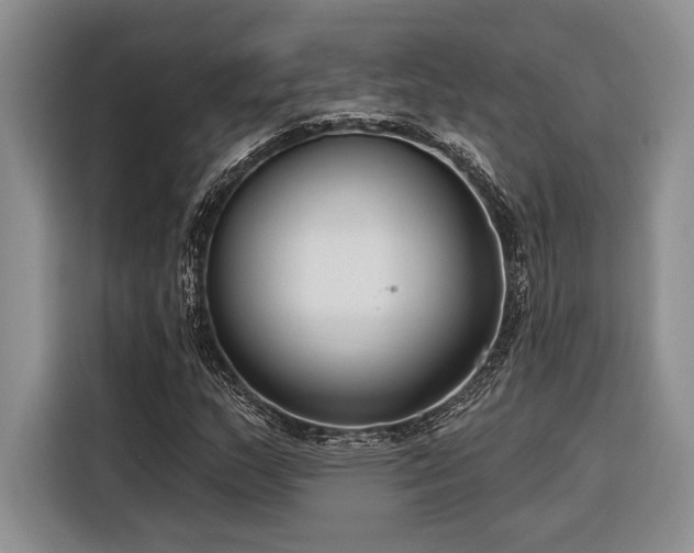 X0000116851159200912221113
