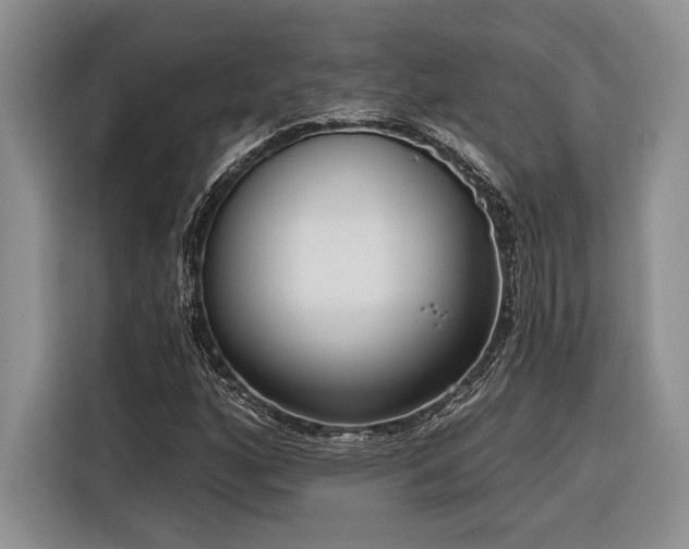 X0000116851160200912221113