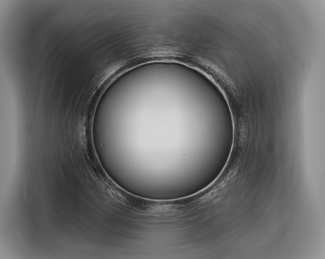 X0000116851162200912221113