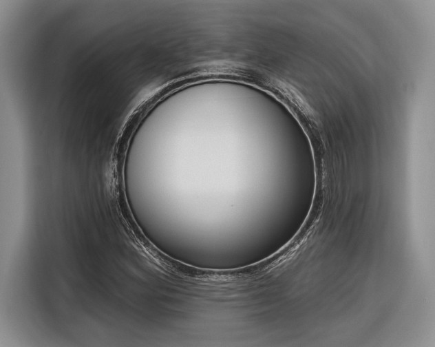 X0000116851164200912221113