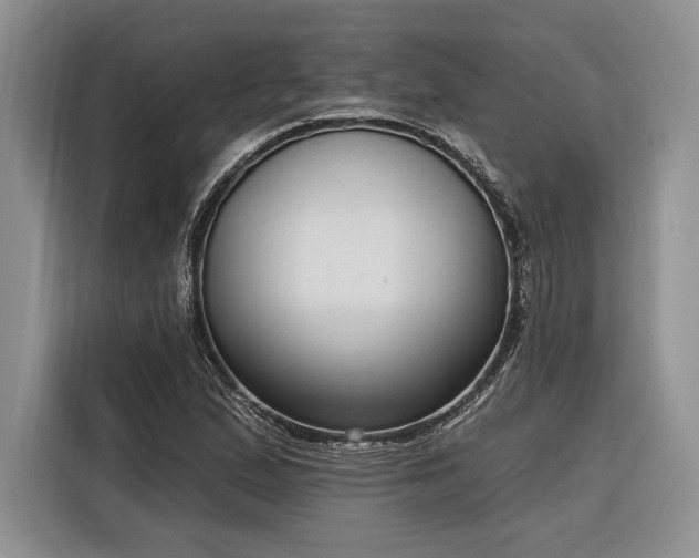X0000116851167200912221113