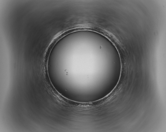 X0000116851168200912221113
