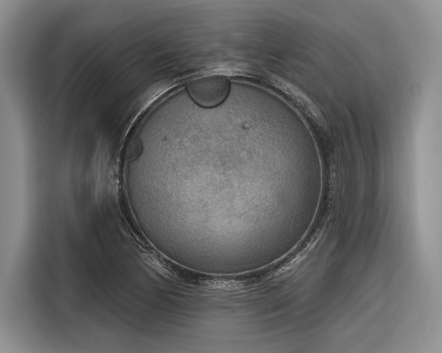 X0000116851170200912221113