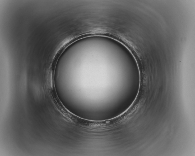 X0000116851171200912221113