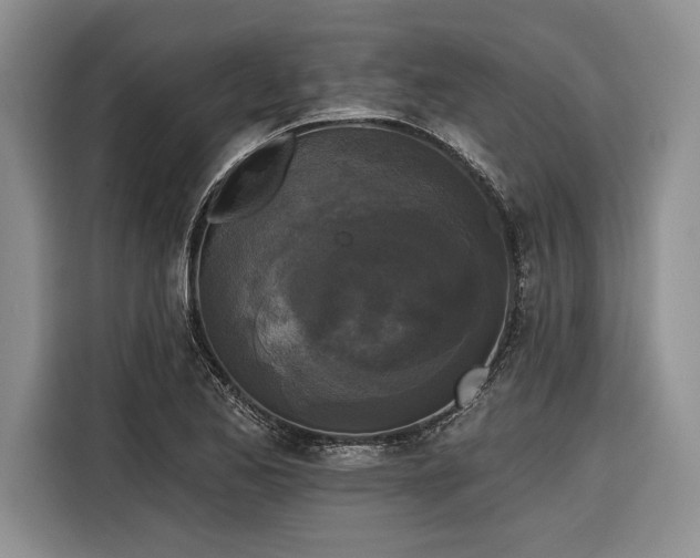 X0000116851173200912221113