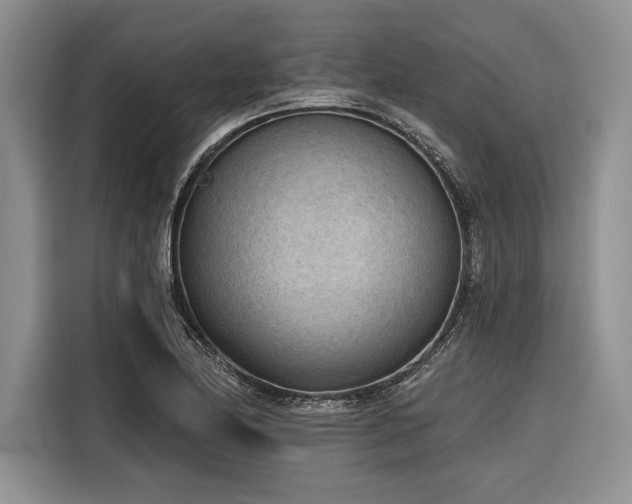 X0000116851174200912221113